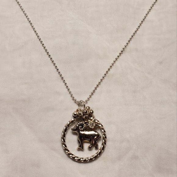 Silver Zodiac Necklace - Picture 1 of 4